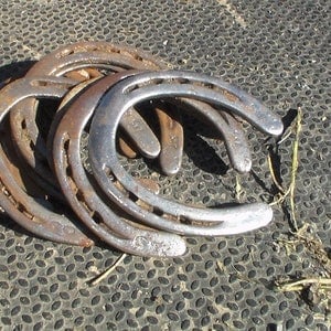 Authentic Used Horse Shoes-Flat Shoes-Assorted sizes-Rusted Shoes-Shiny Shoes-Cowboy Art-Farrier Horseshoes-Western Decor