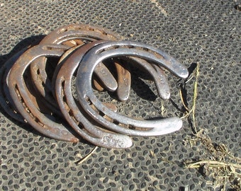 Authentic Used Horse Shoes-Flat Shoes-Assorted sizes-Rusted Shoes-Shiny Shoes-Cowboy Art-Farrier Horseshoes-Western Decor