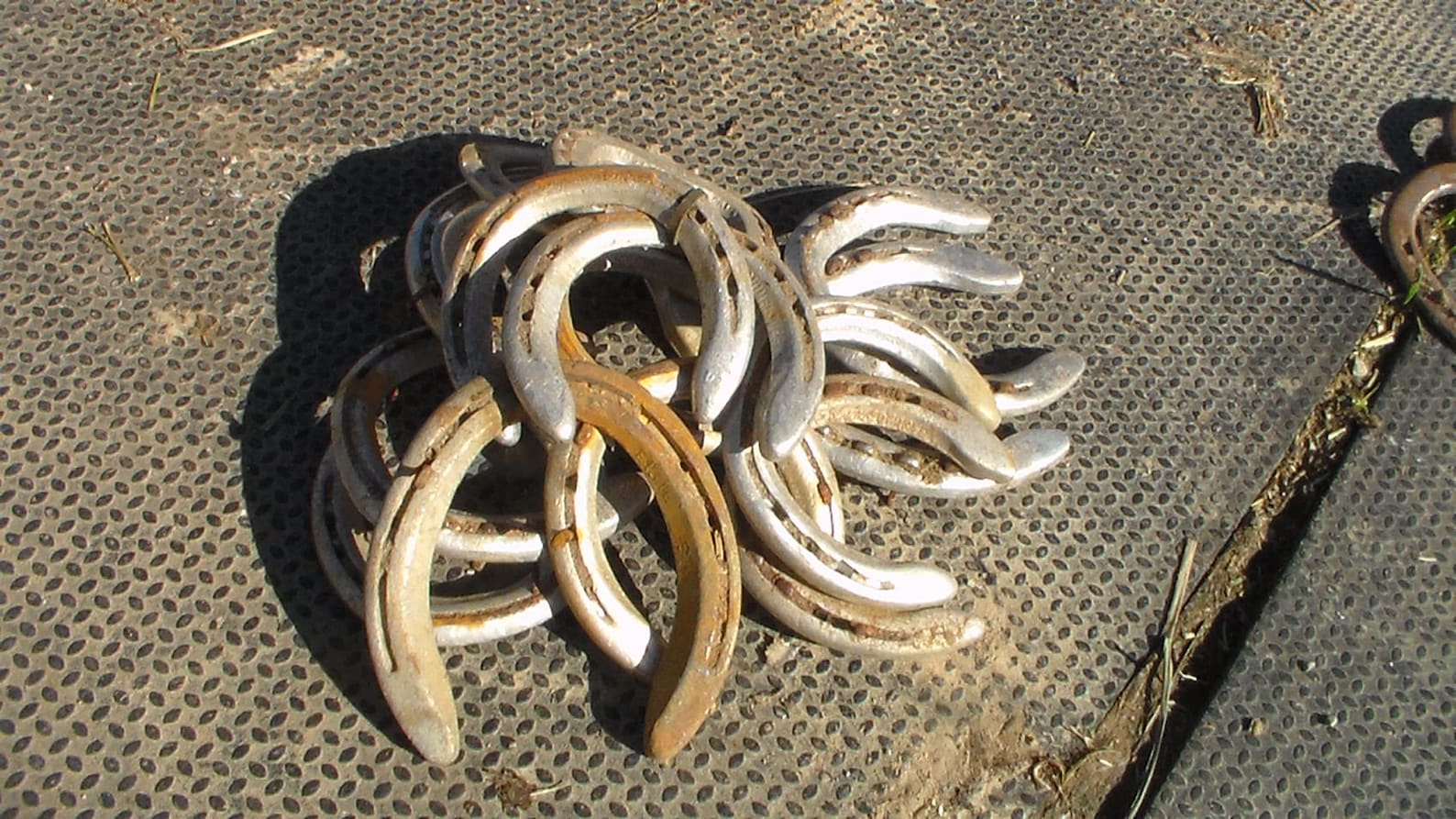 Authentic Used Aluminum Horse Shoesassorted Sizes Etsy