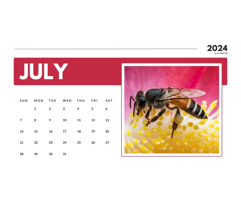 2024 Wall Calendar 2024 Bee Calendar 2024 Wall Calendar Printable 2024