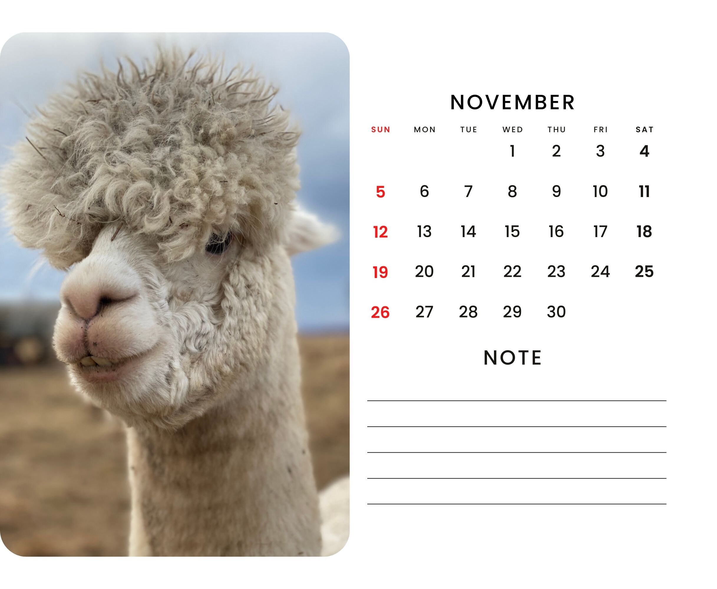 2024 Wall Calendar 2024 Alpaca Calendar 2024 Wall Calendar Printable