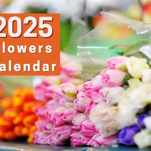 Flowers PRINTABLE wall calendar monthly desk calendar floral flora and fauna photograph year calendar printable