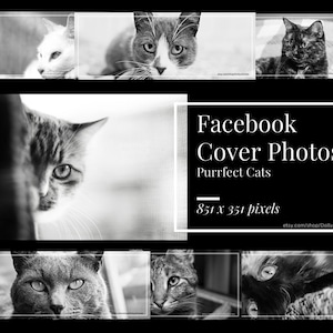 Facebook cover, Facebook timeline cover, Facebook cover template, Facebook cover photo, Facebook banner, cats, feline, pets