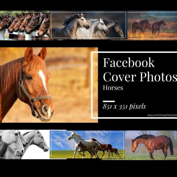 Facebook cover Facebook timeline cover Facebook cover templates Facebook cover photos Facebook banner hummingbird bird hummingbird feeder