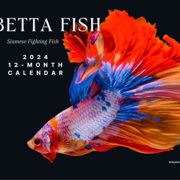 2024 wall calendar 2024 betta calendar 2024 wall calendar printable 2024 calendar betta fish calendar wall calendar betta fish aquarium fish