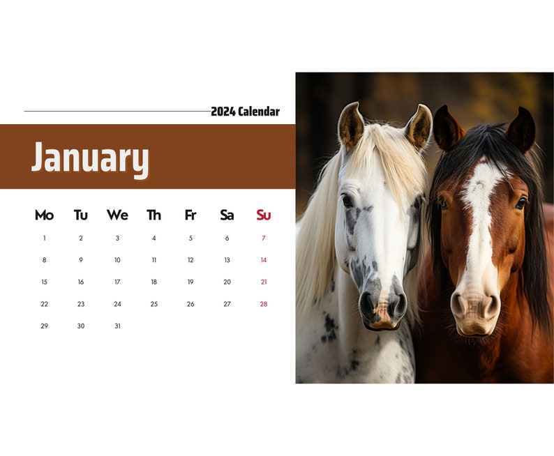 2024 Wall Calendar 2024 Horse Calendar 2024 Wall Calendar Printable
