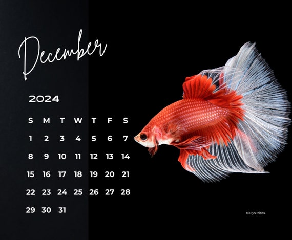 2024 Wall Calendar 2024 Betta Calendar 2024 Wall Calendar