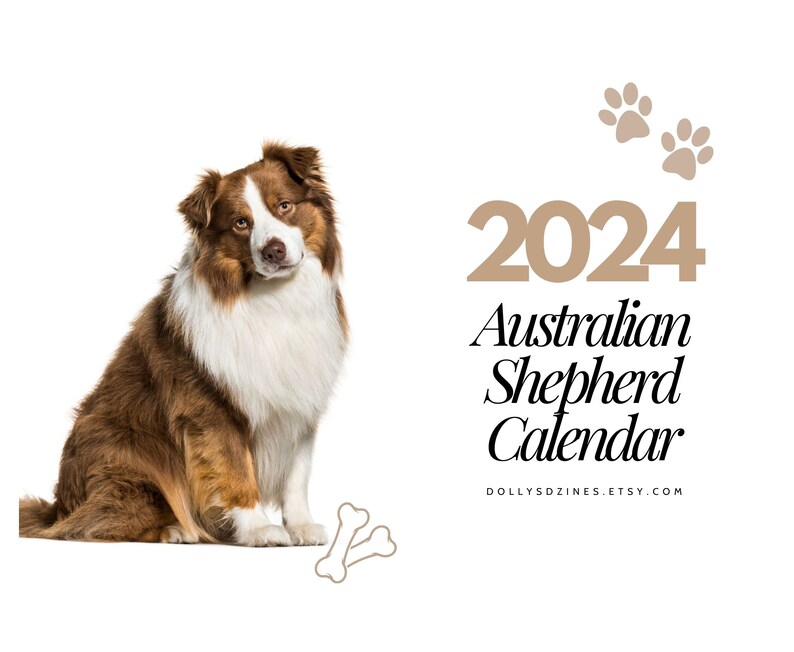 2024 Wall Calendar 2024 Australian Shepherd Calendar 2024 Wall Calendar
