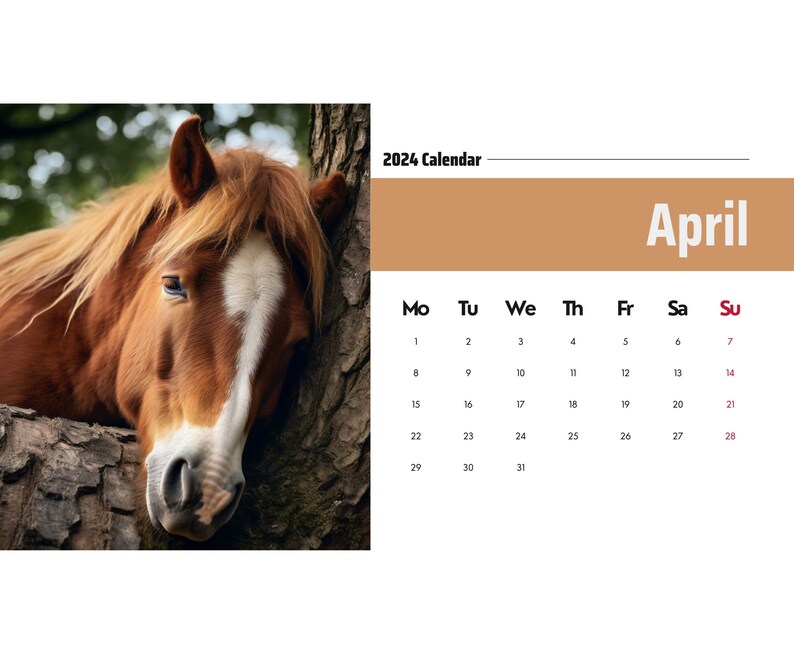 2024 Wall Calendar 2024 Horse Calendar 2024 Wall Calendar PRINTABLE
