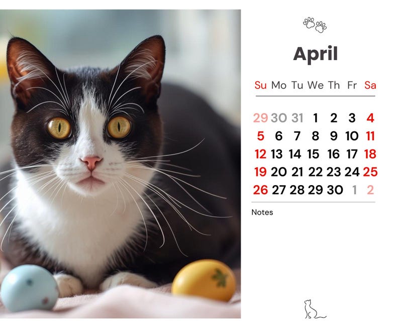 Tuxedo Cat Calendar 2026 PRINTABLE Kittens Feline Wall Calendar Desk ...