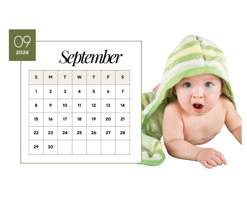 2024 Wall Calendar 2024 Baby Calendar 2024 Wall Calendar Printable 2024