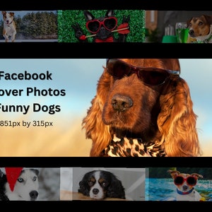 Facebook cover, Facebook timeline cover, Facebook cover template, Facebook cover photo, Facebook banner, dogs, funny dogs