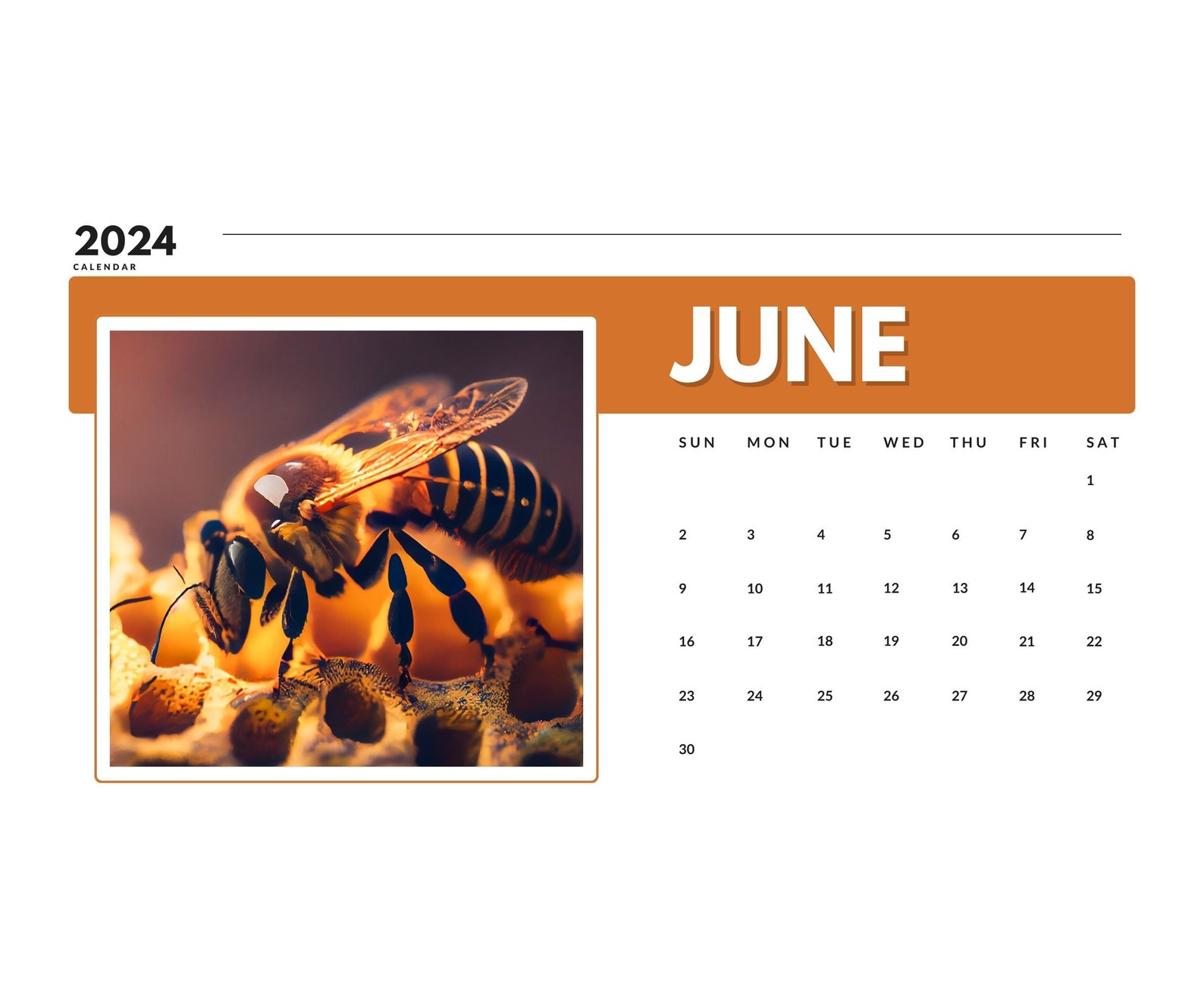 2024 Wall Calendar 2024 Bee Calendar 2024 Wall Calendar Printable 2024