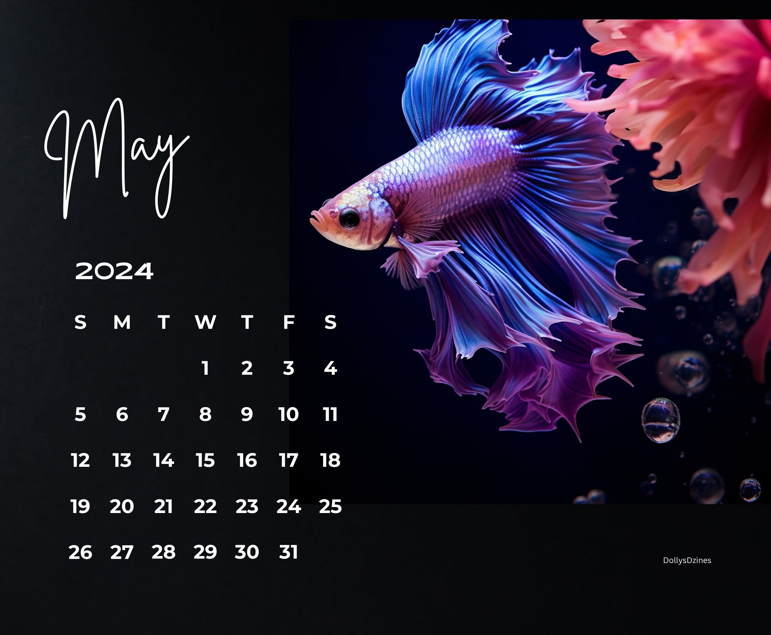 2024 Wall Calendar 2024 Betta Calendar 2024 Wall Calendar Printable 2024  Calendar Betta Fish Calendar Wall Calendar Betta Fish Aquarium Fish 