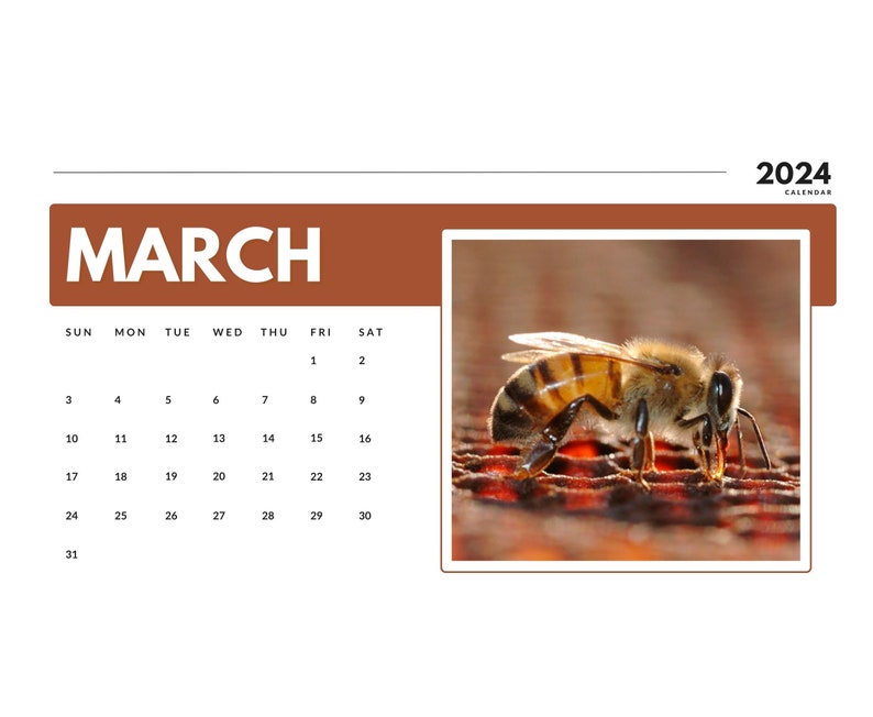 2024 Honey Bee Calendar 2024 Honey Bee Wall Calendar 2024 Etsy Singapore