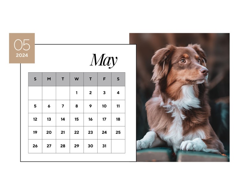 2024 Wall Calendar 2024 Australian Shepherd Calendar 2024 Wall Calendar