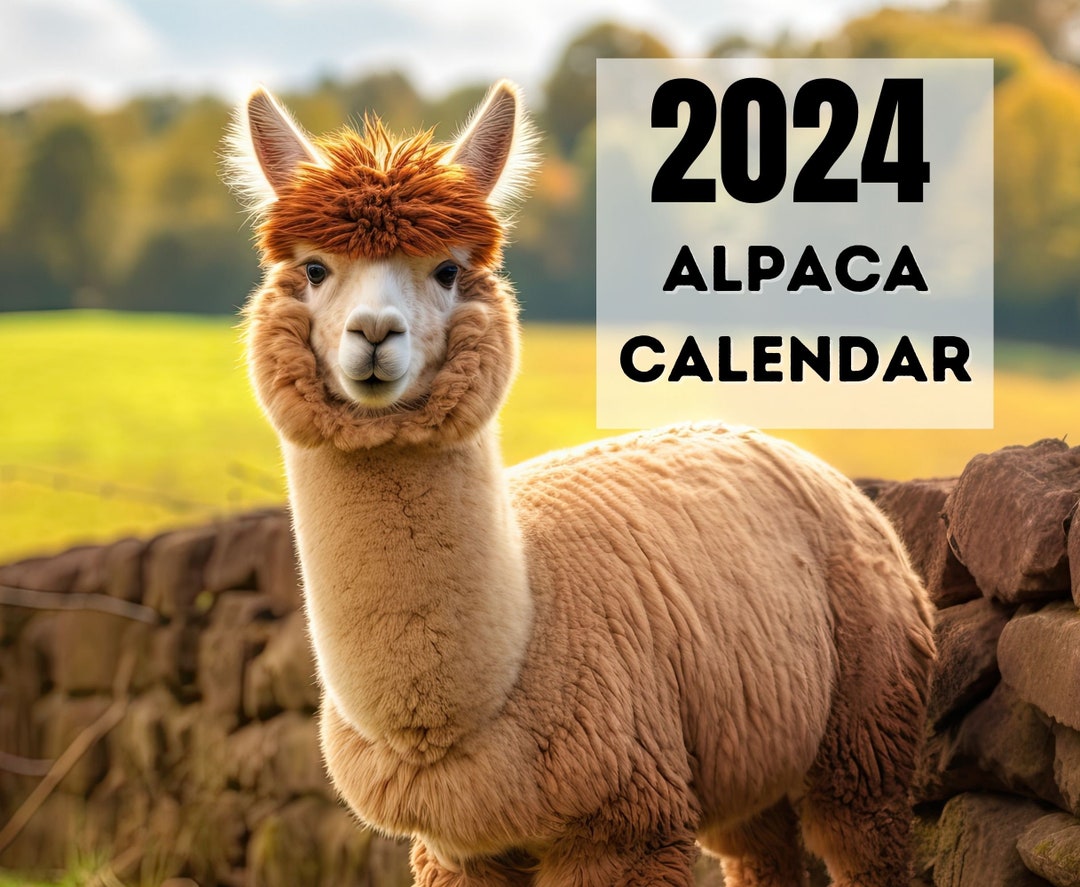2024 Wall Calendar 2024 Alpaca Calendar 2024 Wall Calendar Printable