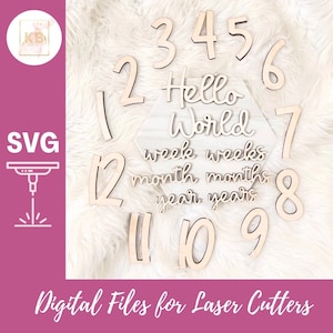Geboorte tot 12 jaar lasergesneden digitaal SVG-bestand mijlpalen, pasgeboren cadeau, kinderkameraccessoire, ziekenhuisfotografie prop, mijlpalen verjaardag