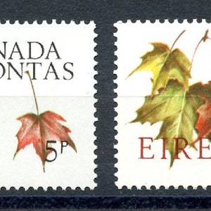 Op de afbeelding: Twee vintage Canadese postzegels met afbeeldingen van esdoornbladeren. De postzegels zijn gelabeld "CANADA AONTAS" en hebben de waarden "1/5" en "5p".