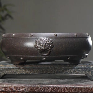 May include: A dark brown ceramic bonsai pot with a raised, detailed design of a mythical creature on the front. The pot has a rounded oval shape and sits on a wooden stand.