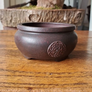 Puede incluir: Una maceta de bonsái de cerámica marrón oscuro con un diseño decorativo en el lateral. La maceta tiene una forma redondeada y una abertura ancha.