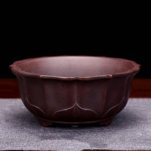 Peut inclure: Un pot en céramique brun foncé avec un bord festonné et un motif de fleur de lotus. Le pot a trois petits pieds et est idéal pour présenter de petites plantes.
