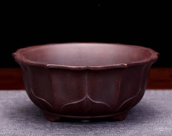 May include: A dark brown ceramic bonsai pot with a scalloped rim and a lotus flower design. The pot has four small feet.