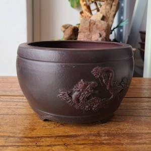 May include: A dark brown, round ceramic planter with a detailed dragon relief. The planter has a wide opening and sits on a wooden surface. The dragon design is carved into the side of the planter.