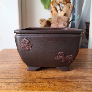 May include: A square, dark brown ceramic bonsai pot with raised decorative details. The pot has four feet and features a stylised dragon and a circular design.
