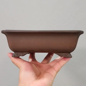 May include: A brown rectangular bonsai pot with curved edges and decorative feet. The pot is held in a hand against a neutral background. The pot is designed for growing small trees and plants.