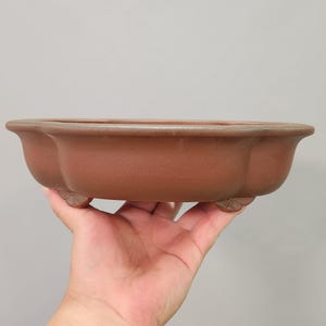 Puede incluir: Una maceta de bonsái marrón, de forma ovalada, con un borde festoneado y tres pies decorativos. La maceta se sostiene en una mano sobre un fondo gris neutro. El color de la maceta es un tono cálido y terroso, lo que sugiere una estética natural.