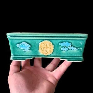 May include: A green ceramic bonsai pot with blue and yellow cloud designs.