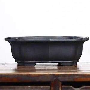May include: A black rectangular bonsai pot with a slightly rounded bottom and four small feet. The pot is made of ceramic and has a smooth, matte finish.