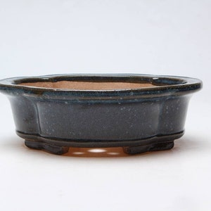May include: A dark blue ceramic bonsai pot with a rounded oval shape and a textured surface. The pot has a slightly flared rim and a drainage hole in the bottom.