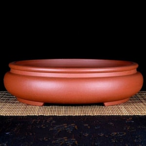 May include: A terracotta bonsai pot with a rounded oval shape and three short legs. The pot is a reddish-brown colour and has a smooth, slightly textured surface.