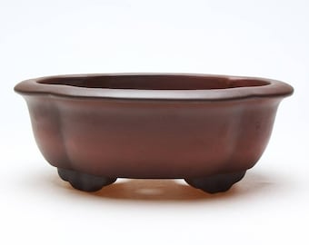 May include: A brown oval ceramic bonsai pot with a scalloped rim and three feet. The pot is made of unglazed terracotta.