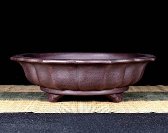 May include: A dark brown ceramic bonsai pot with a rounded shape and three small feet. The pot has a textured surface and a slightly flared rim.