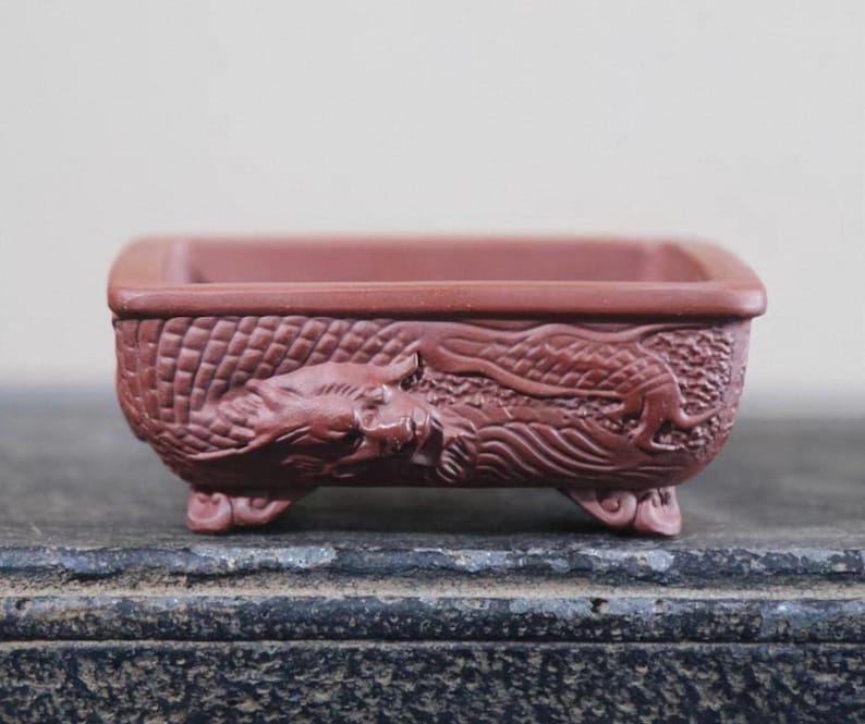 Peut inclure: Un pot &agrave; bonsa&iuml; rectangulaire en c&eacute;ramique brun rouge&acirc;tre. Le pot pr&eacute;sente un motif de dragon en relief d&eacute;taill&eacute; sur les c&ocirc;t&eacute;s et repose sur de petits pieds incurv&eacute;s. Les bords du pot sont arrondis et l'int&eacute;rieur est vide.