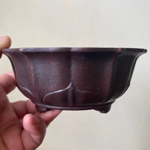 May include: A dark brown ceramic bonsai pot with a scalloped rim and three legs. The pot has a textured surface and a design of stylized leaves.