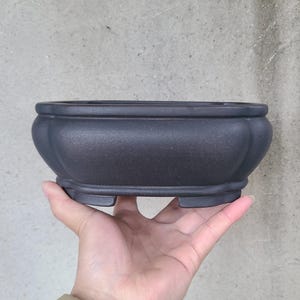 May include: A black ceramic bonsai pot with a rounded rectangular shape and four small feet. The pot is made of a textured material and has a matte finish.