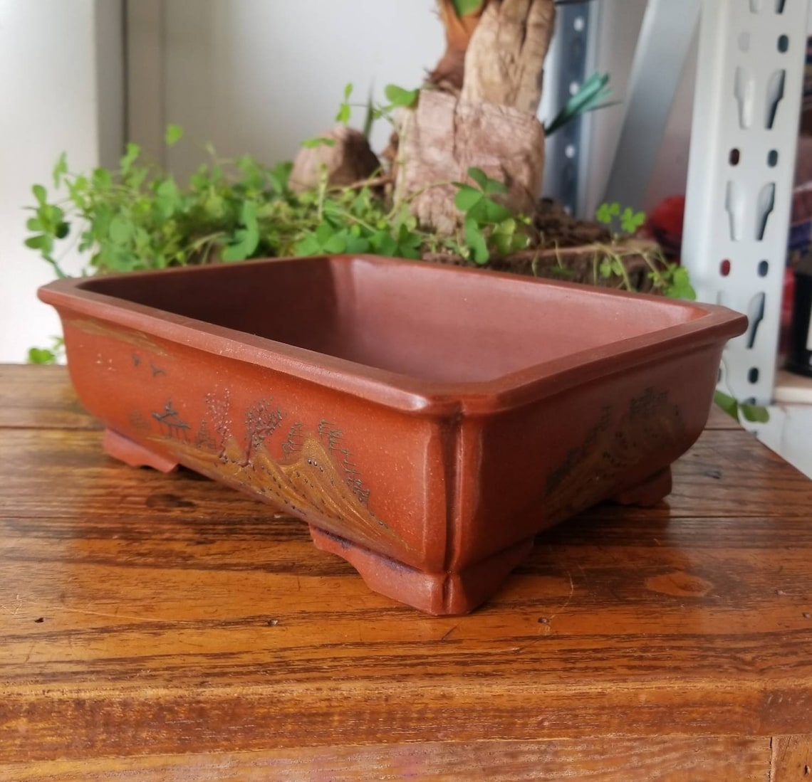 Rectangular bonsai pot handmade Yixing purple sand bonsai pot Etsy