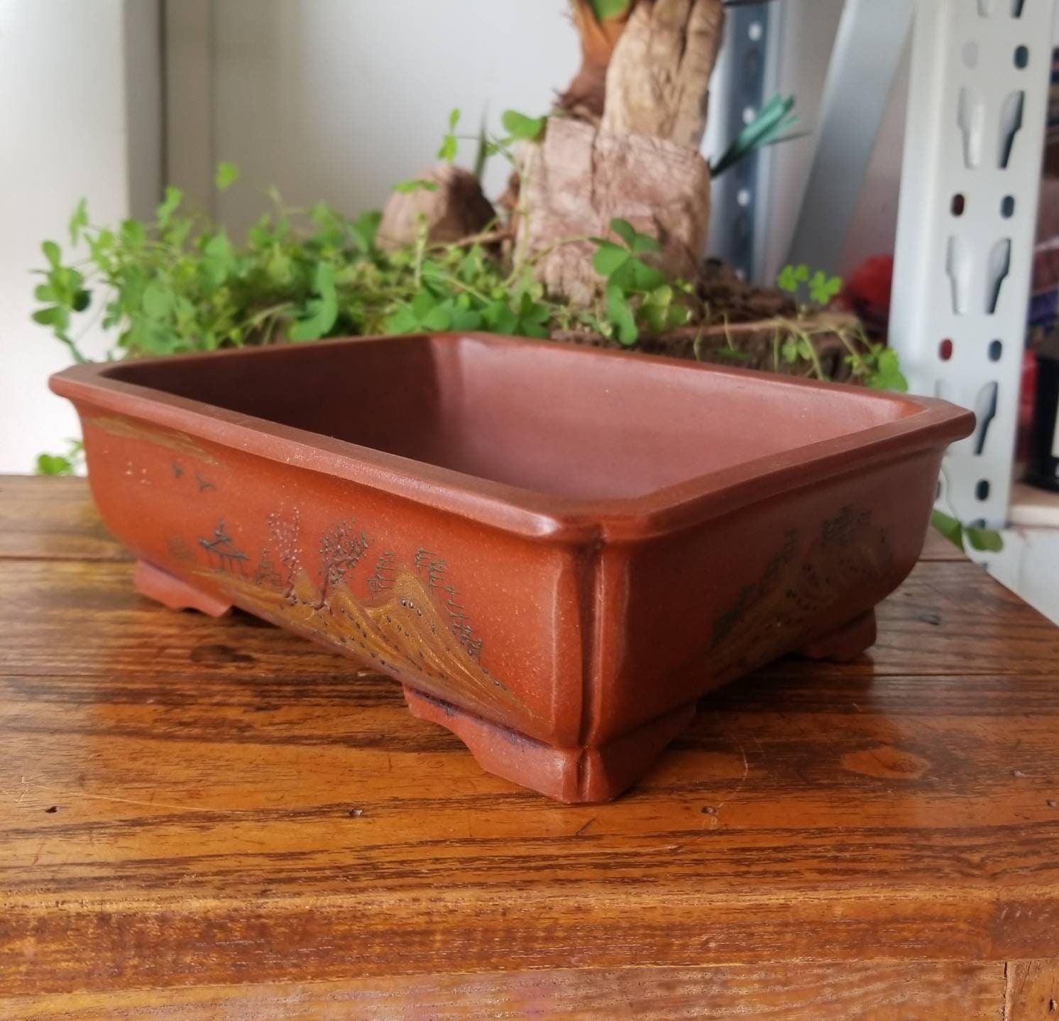 Bonsai Clay Pots