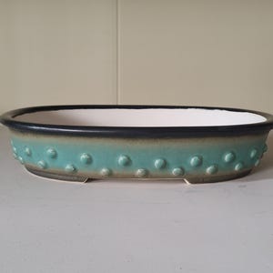 Może przedstawiać: Owalna ceramiczna doniczka do bonsai z czarną krawędzią, turkusowym szkliwem i rzędem wypukłych kropek wokół górnej krawędzi.