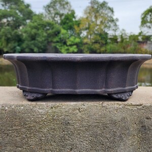 Könnte beinhalten: Dunkelvioletter, oval geformter Bonsai-Topf mit strukturierter Oberfläche. Der Topf hat einen gewellten Rand und steht auf drei dekorativen Füßen. Der Hintergrund zeigt verschwommene Bäume und Wasser.