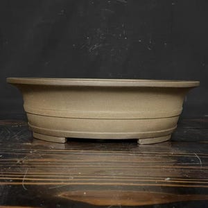 May include: A brown, oval bonsai pot with a wide rim and a slightly curved body. The pot has a textured surface and is designed with a low profile. The pot is made of ceramic.