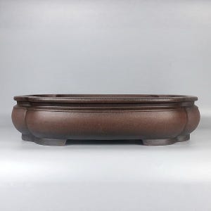 May include: A brown, oval bonsai pot with a slightly textured surface. The pot has a wide, shallow design with rounded sides and a decorative rim. It sits on four small feet, providing stability. The overall aesthetic is simple and elegant.