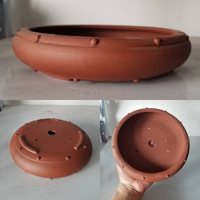 K&ouml;nnte beinhalten: Ein runder, flacher Bonsai-Topf aus Terrakotta mit einem erh&ouml;hten Rand. Der Topf hat eine strukturierte Oberfl&auml;che und ein Abzugsloch im Boden.