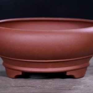 Peut inclure: Un pot en céramique de couleur terre cuite avec une base large et peu profonde et trois petits pieds. Le pot est conçu pour la plantation et a une finition lisse et non émaillée.