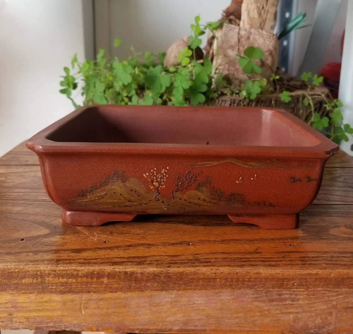 Bonsai pots usa