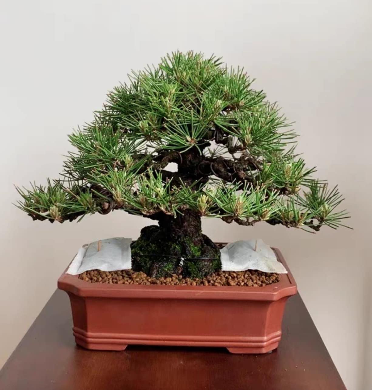 12.4インチ長方形盆栽鉢宜興紫砂植木鉢シンプルな素焼き通気性植木鉢花